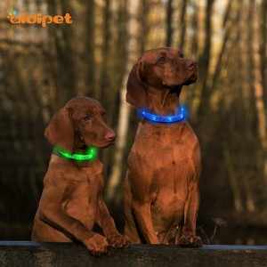 Promotional Colorful Usb Rechargeable Flashing Silicone Led Dog Collar Remote Control Waterproof Pet Collar And Leashes